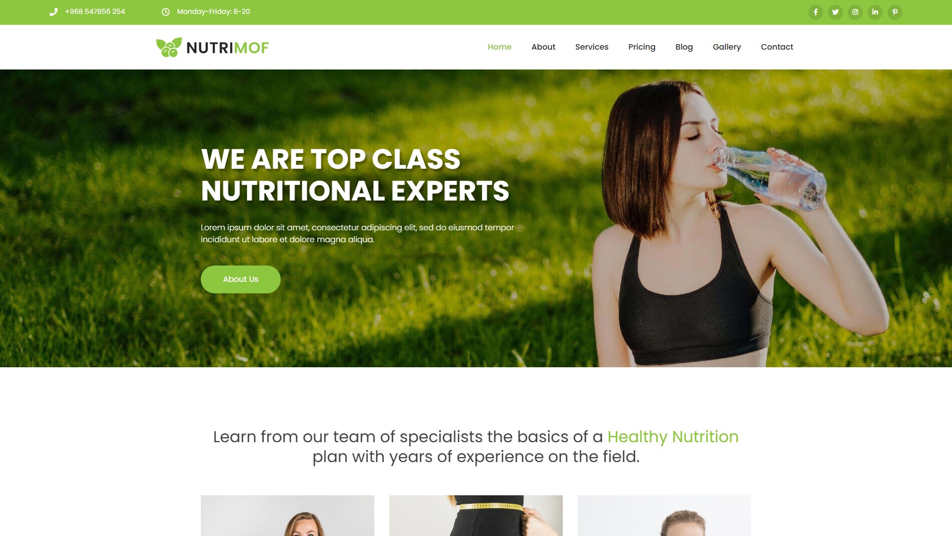 Joomla Template Preview